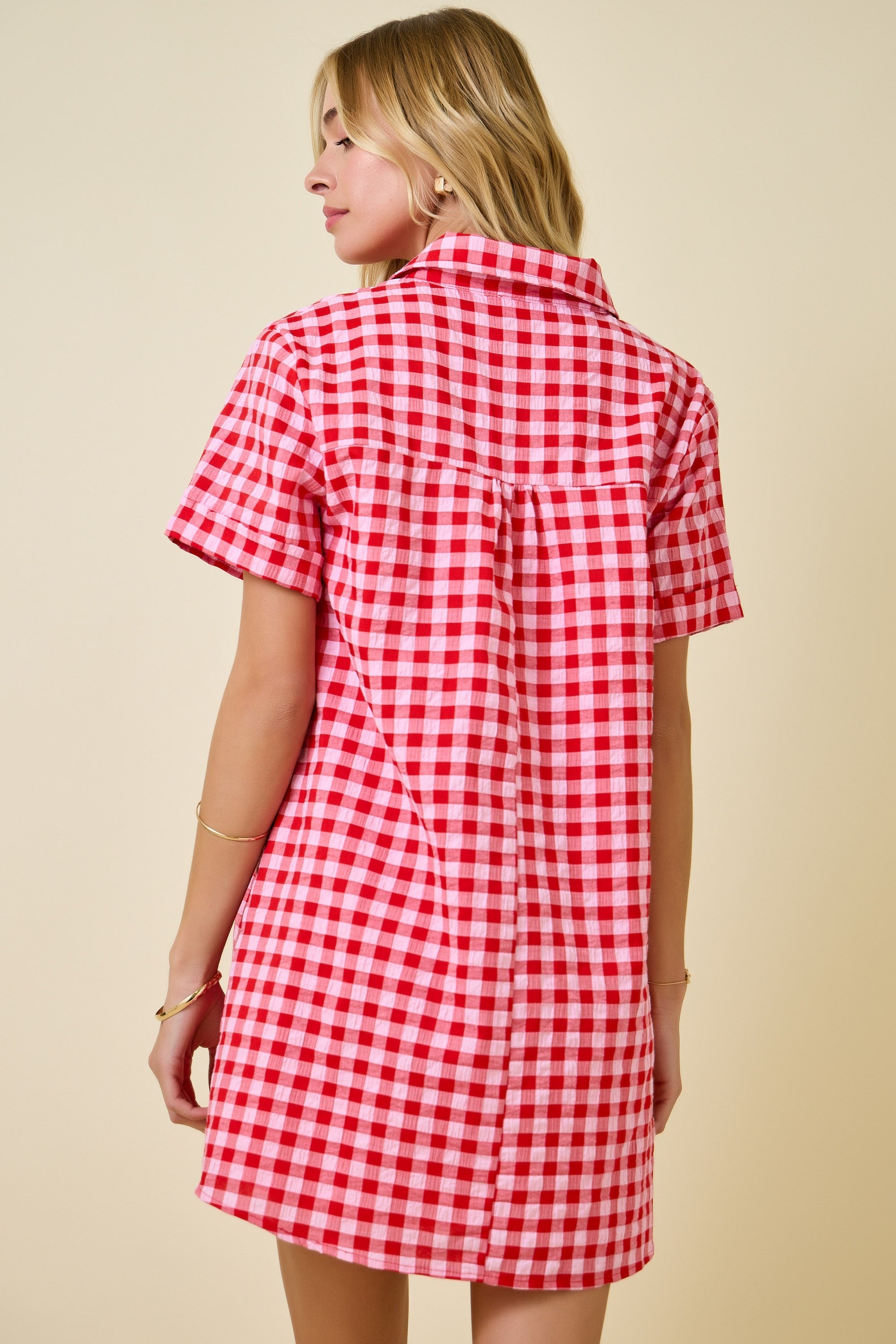 Danna Gingham Easy Shirt Dress