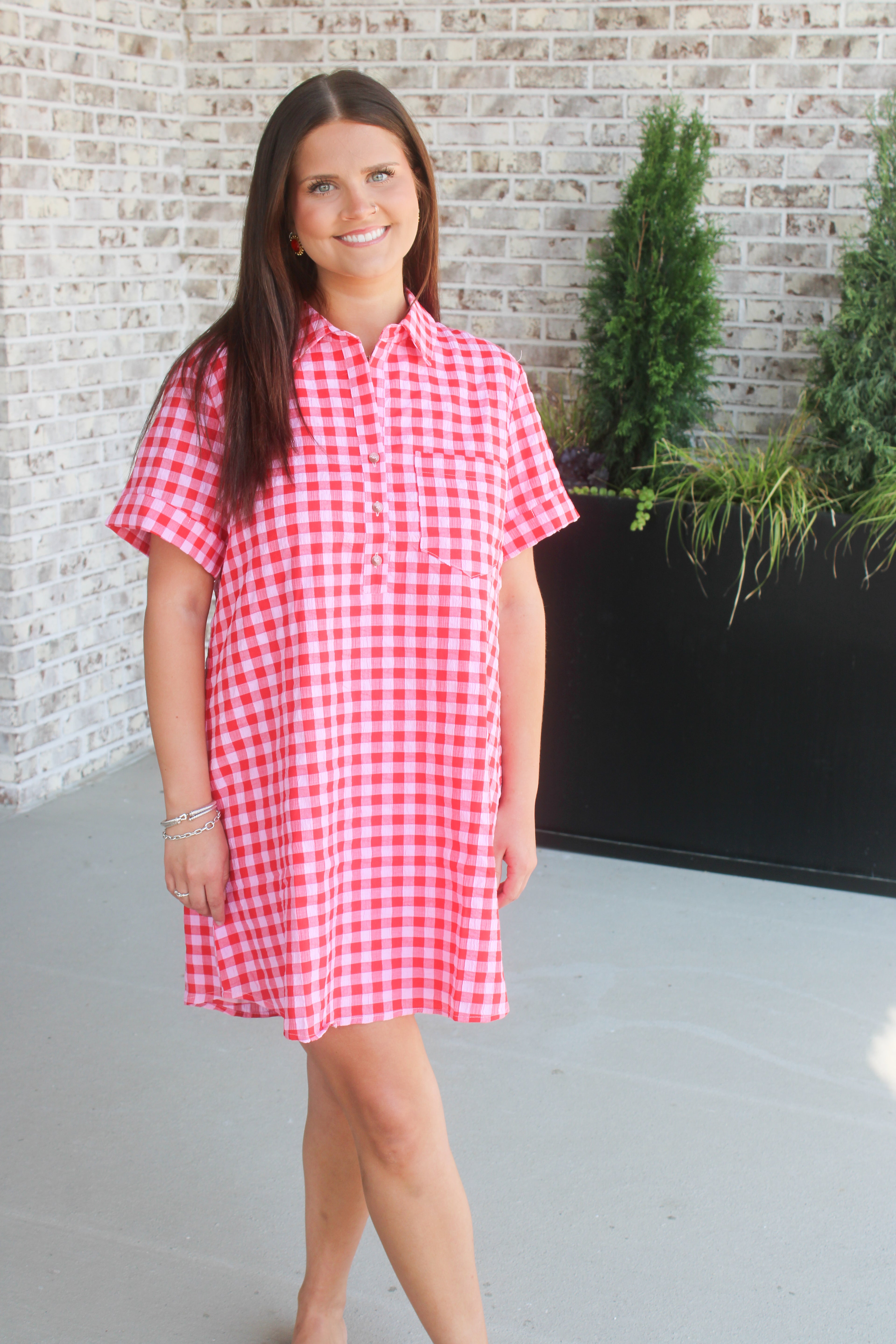 Danna Gingham Easy Shirt Dress
