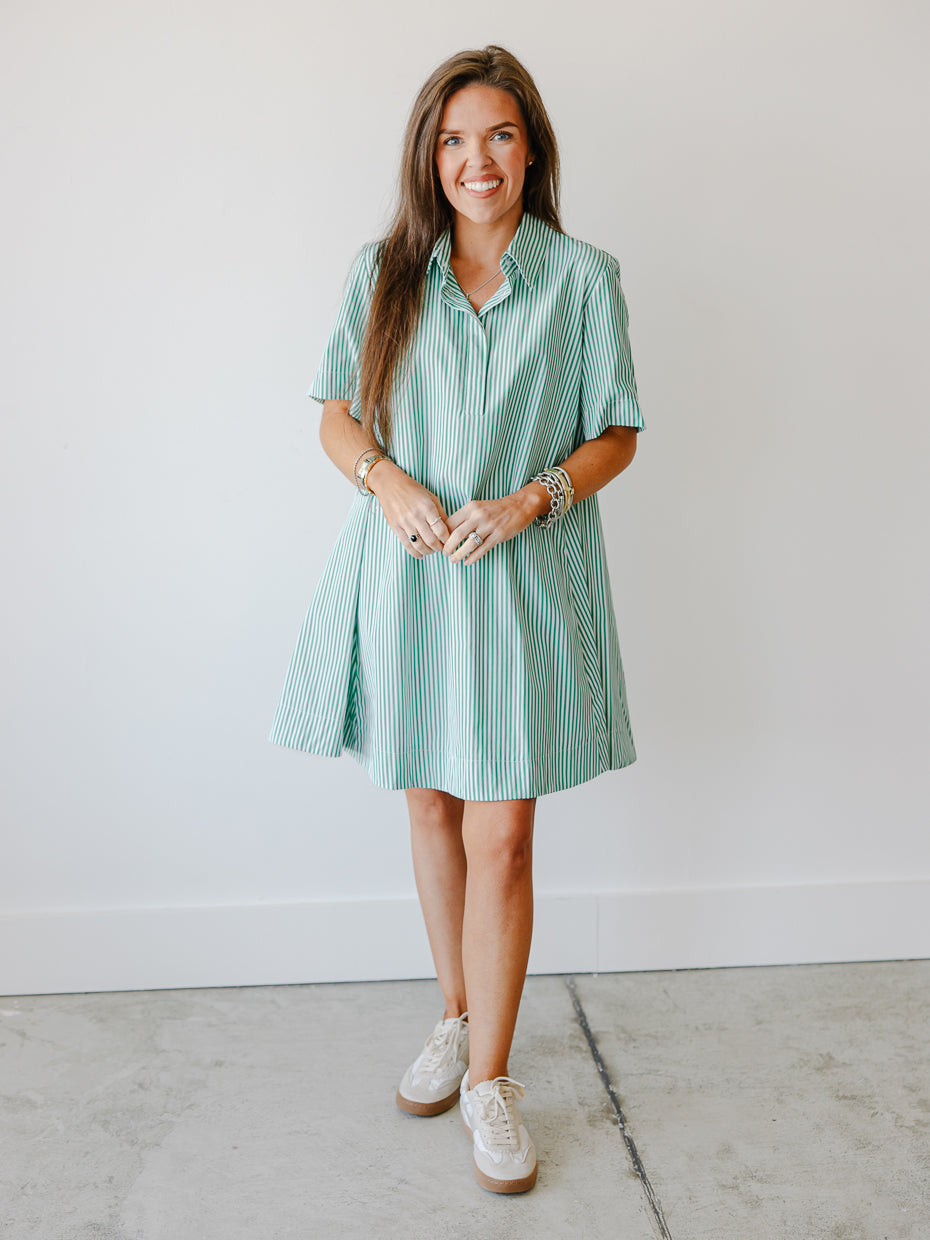 Elora Stripe Collared Swing Mini Dress