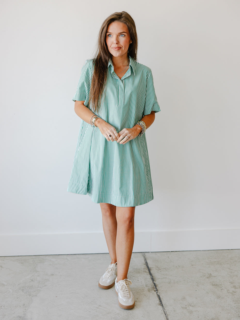 Elora Stripe Collared Swing Mini Dress