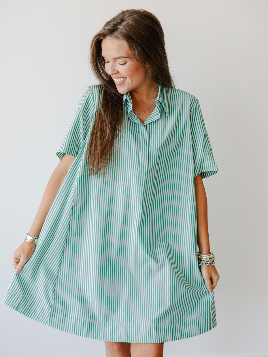 Elora Stripe Collared Swing Mini Dress
