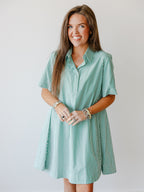 Elora Stripe Collared Swing Mini Dress